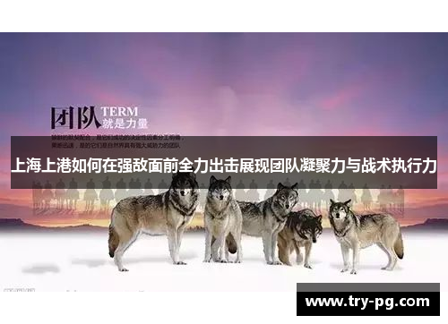 上海上港如何在强敌面前全力出击展现团队凝聚力与战术执行力