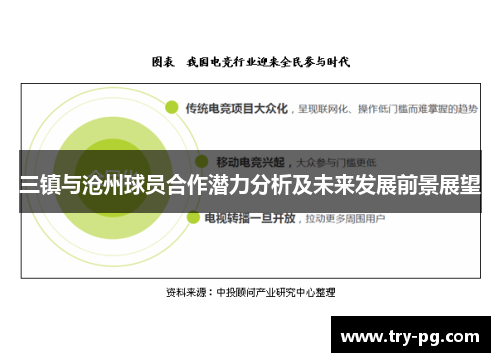 三镇与沧州球员合作潜力分析及未来发展前景展望