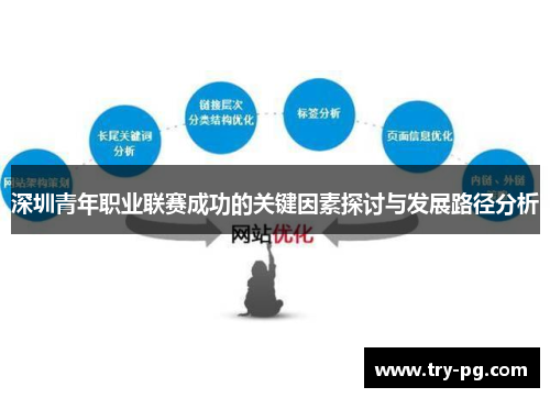 深圳青年职业联赛成功的关键因素探讨与发展路径分析