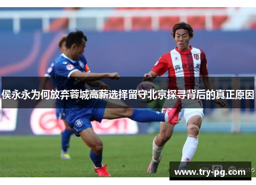 侯永永为何放弃蓉城高薪选择留守北京探寻背后的真正原因