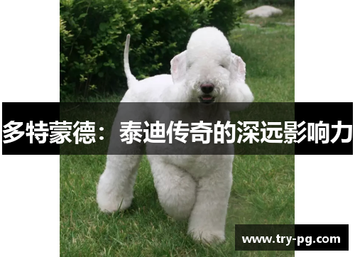 多特蒙德：泰迪传奇的深远影响力