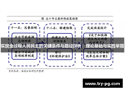 实现全过程人民民主的关键条件与路径探析：理论基础与实践举措