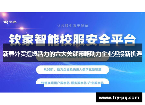 新春外贸提振活力的六大关键策略助力企业迎接新机遇