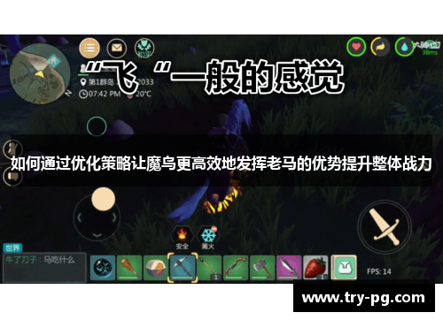 如何通过优化策略让魔鸟更高效地发挥老马的优势提升整体战力