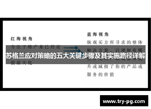 苏格兰应对策略的五大关键步骤及其实施路径详解