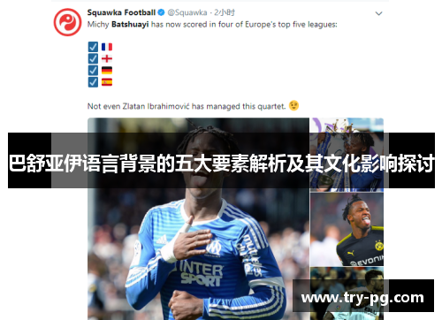 巴舒亚伊语言背景的五大要素解析及其文化影响探讨 巴舒亚伊语言背景的五大要素解析及其文化影响探讨