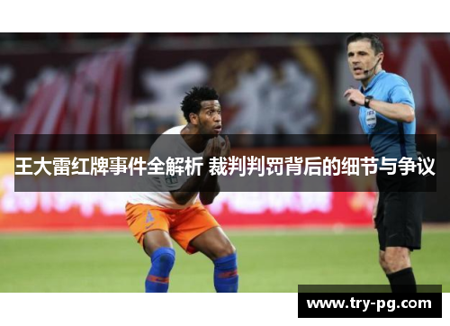 王大雷红牌事件全解析 裁判判罚背后的细节与争议 王大雷红牌事件全解析 裁判判罚背后的细节与争议