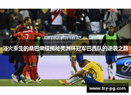 浴火重生的桑巴荣耀揭秘美洲杯冠军巴西队的逆袭之路 浴火重生的桑巴荣耀揭秘美洲杯冠军巴西队的逆袭之路