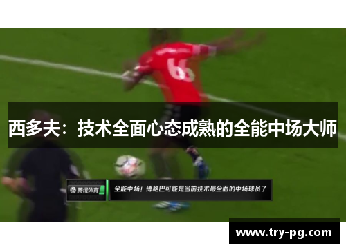 西多夫:技术全面心态成熟的全能中场大师 西多夫:技术全面心态成熟的全能中场大师